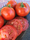 Seed Starting Tips for Tomatoes, Peppers and Eggplants