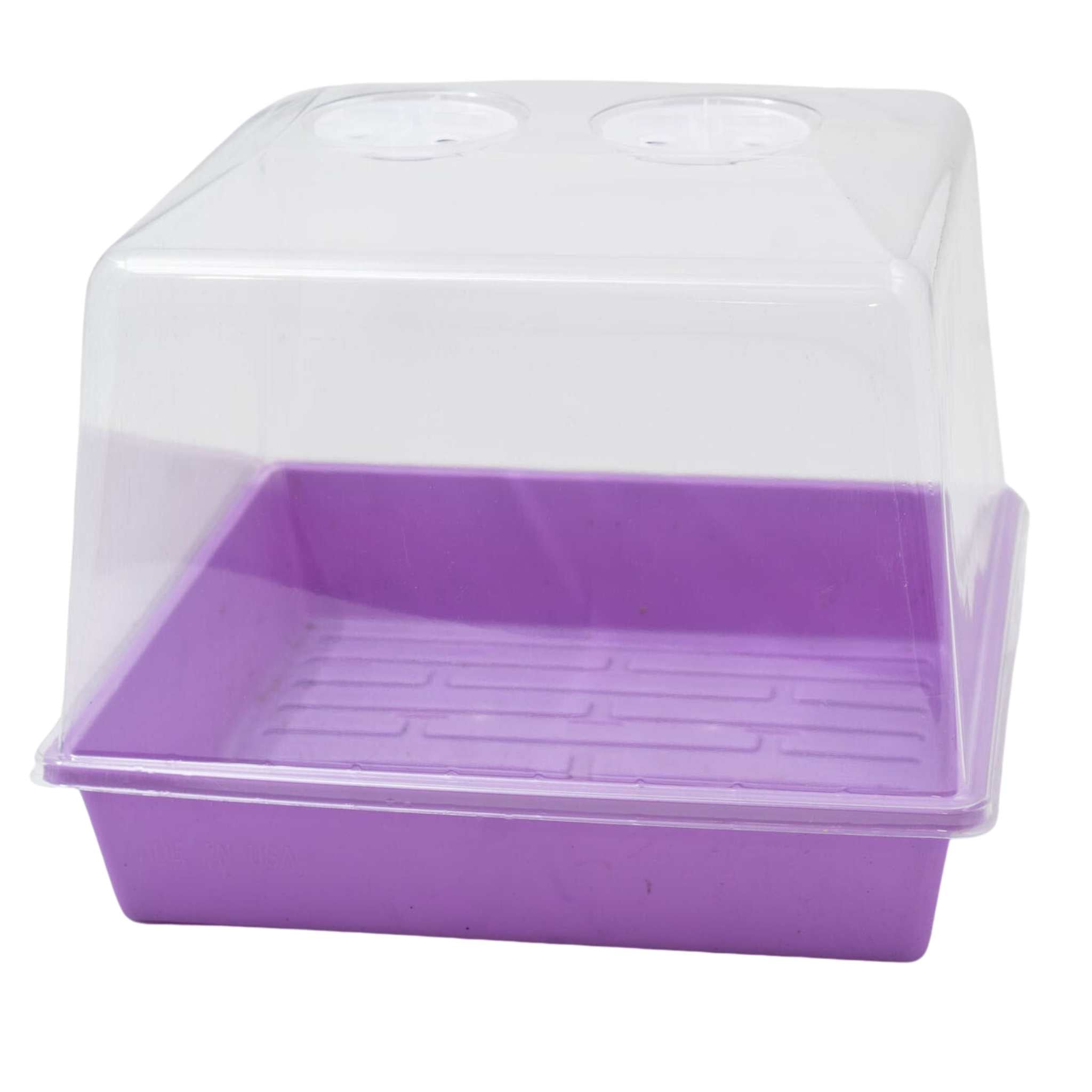 Purple plastic tray with a moisture lid on a white background