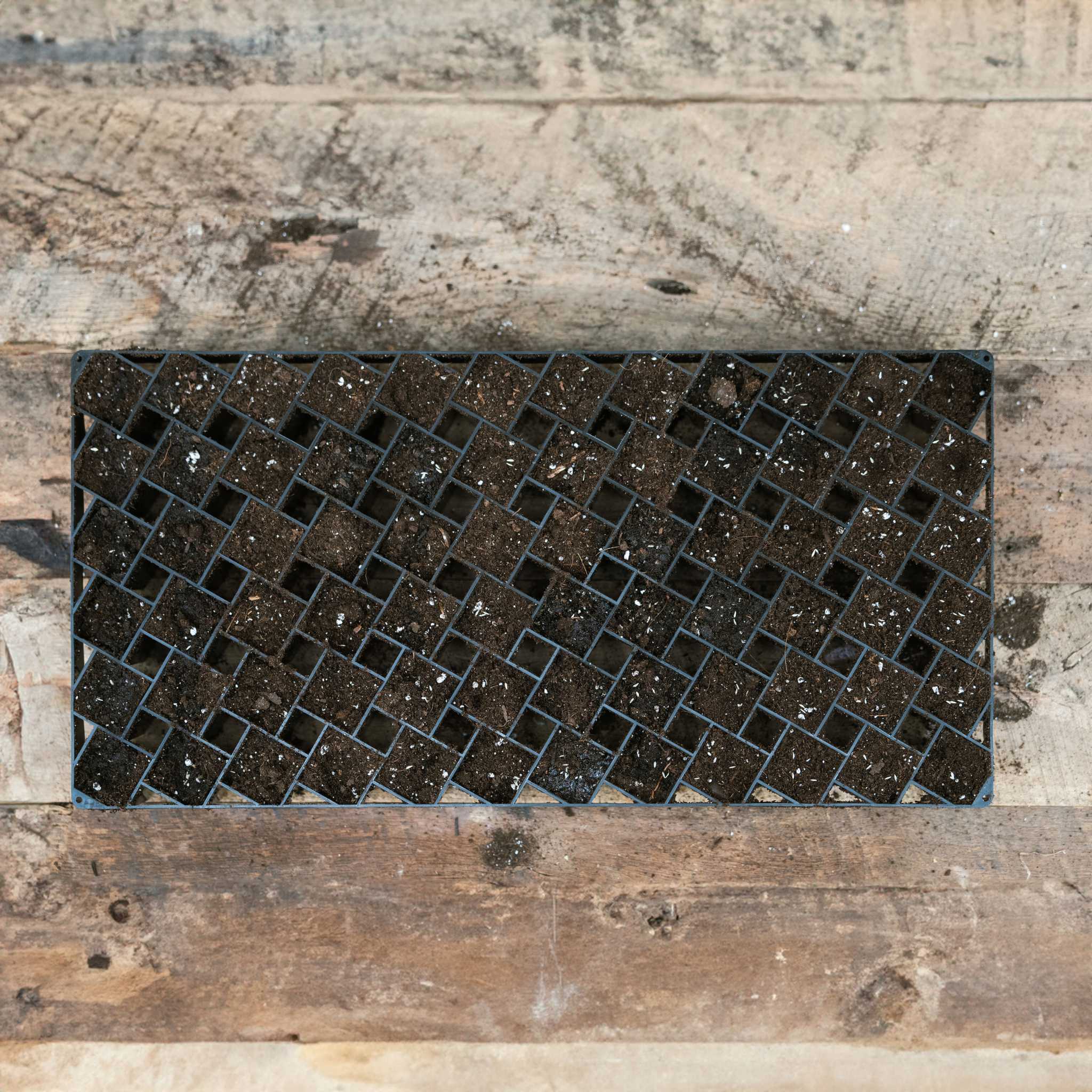 Black seed tray with small holes on a wooden surface
