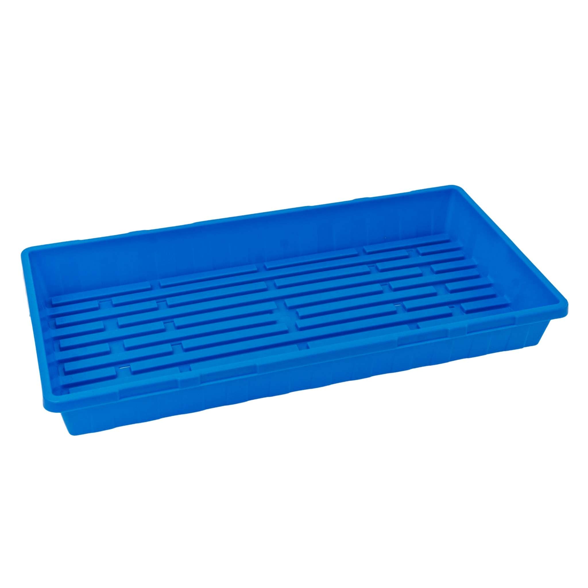 Blue plastic tray with drainage holes on a white background