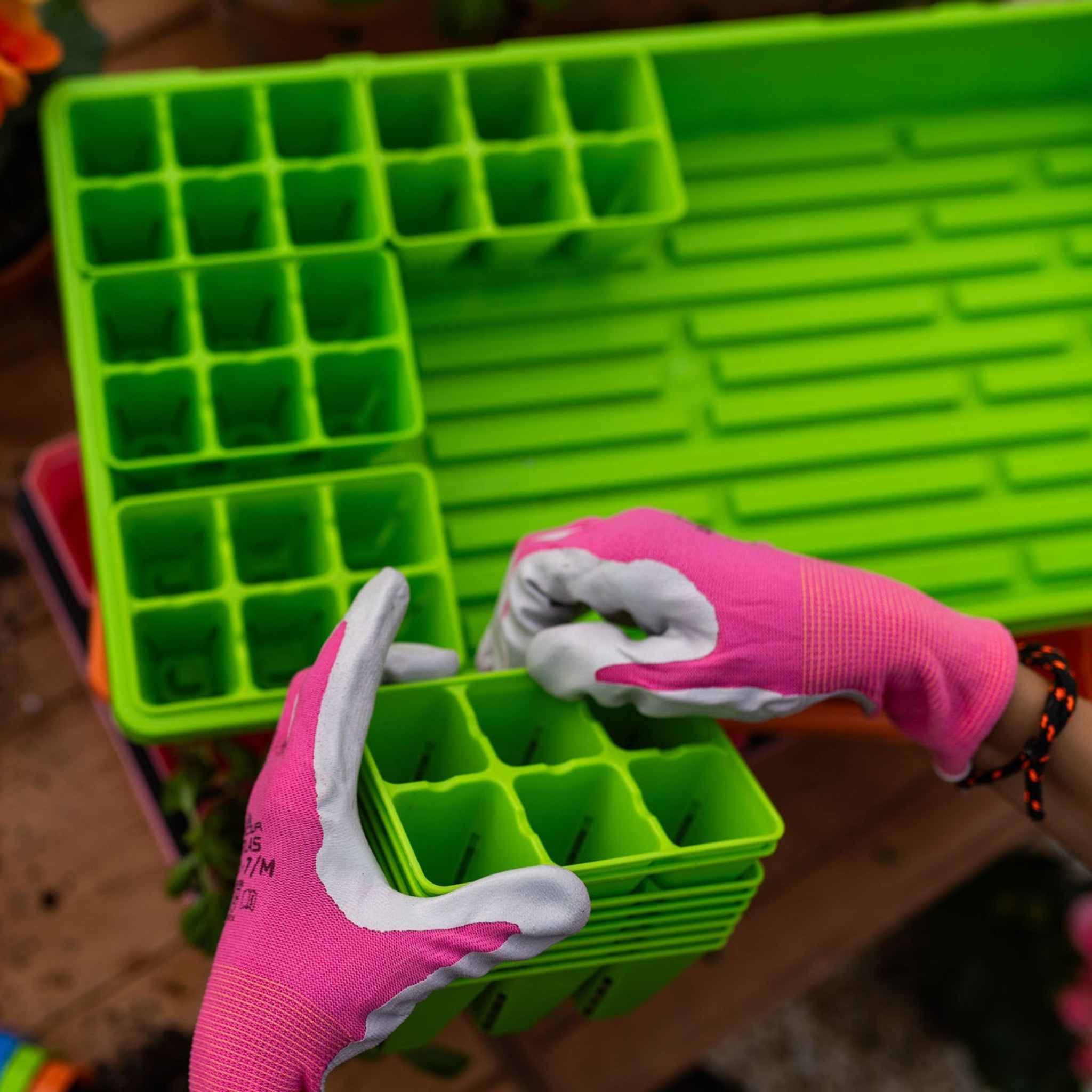 Green seedling tray with pink gardening gloves on a wooden surface