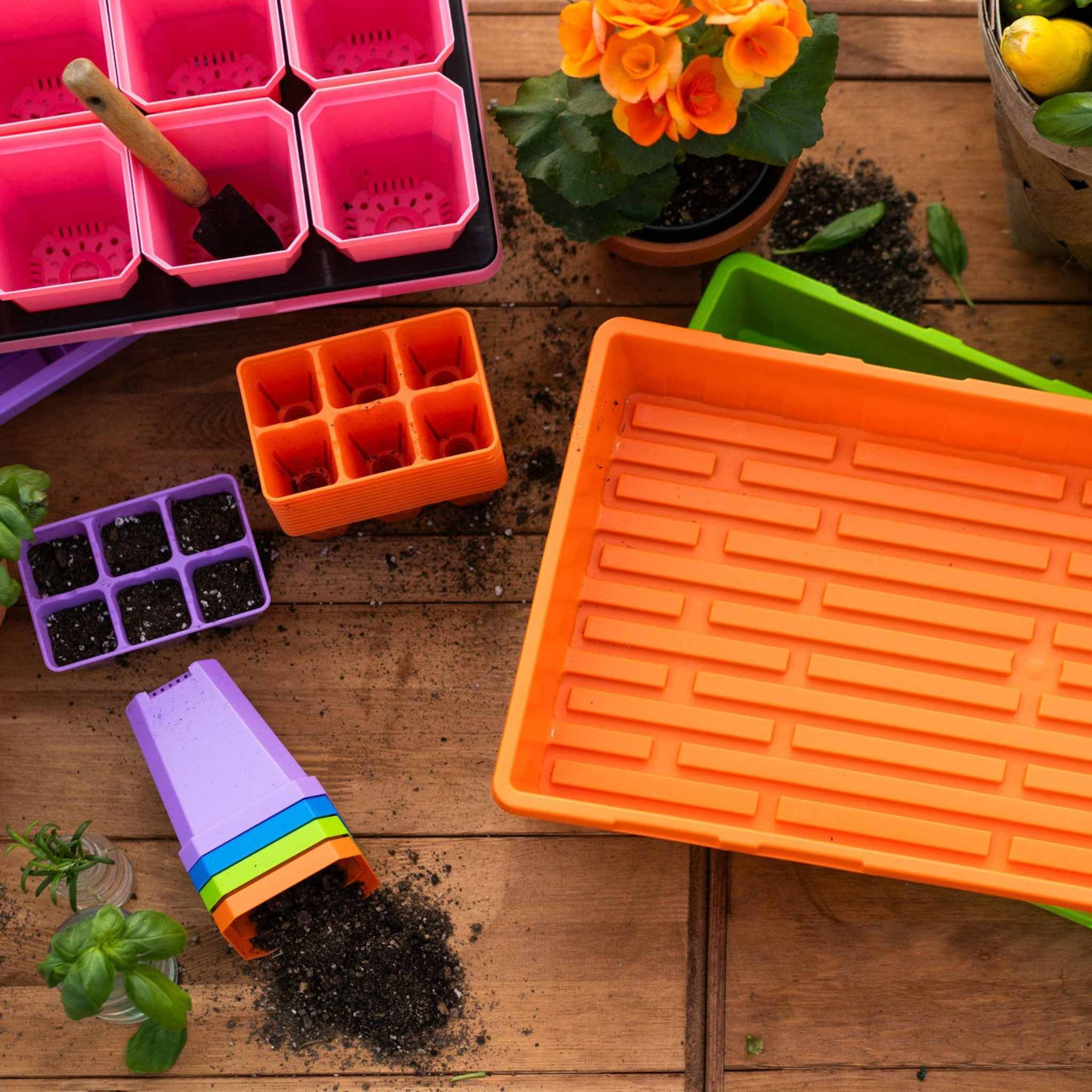 Gardening tools and supplies including trays, pots, and soil on a wooden surface.
