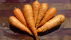 Danver's Carrot