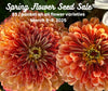 Plant Spring Flowers soon!