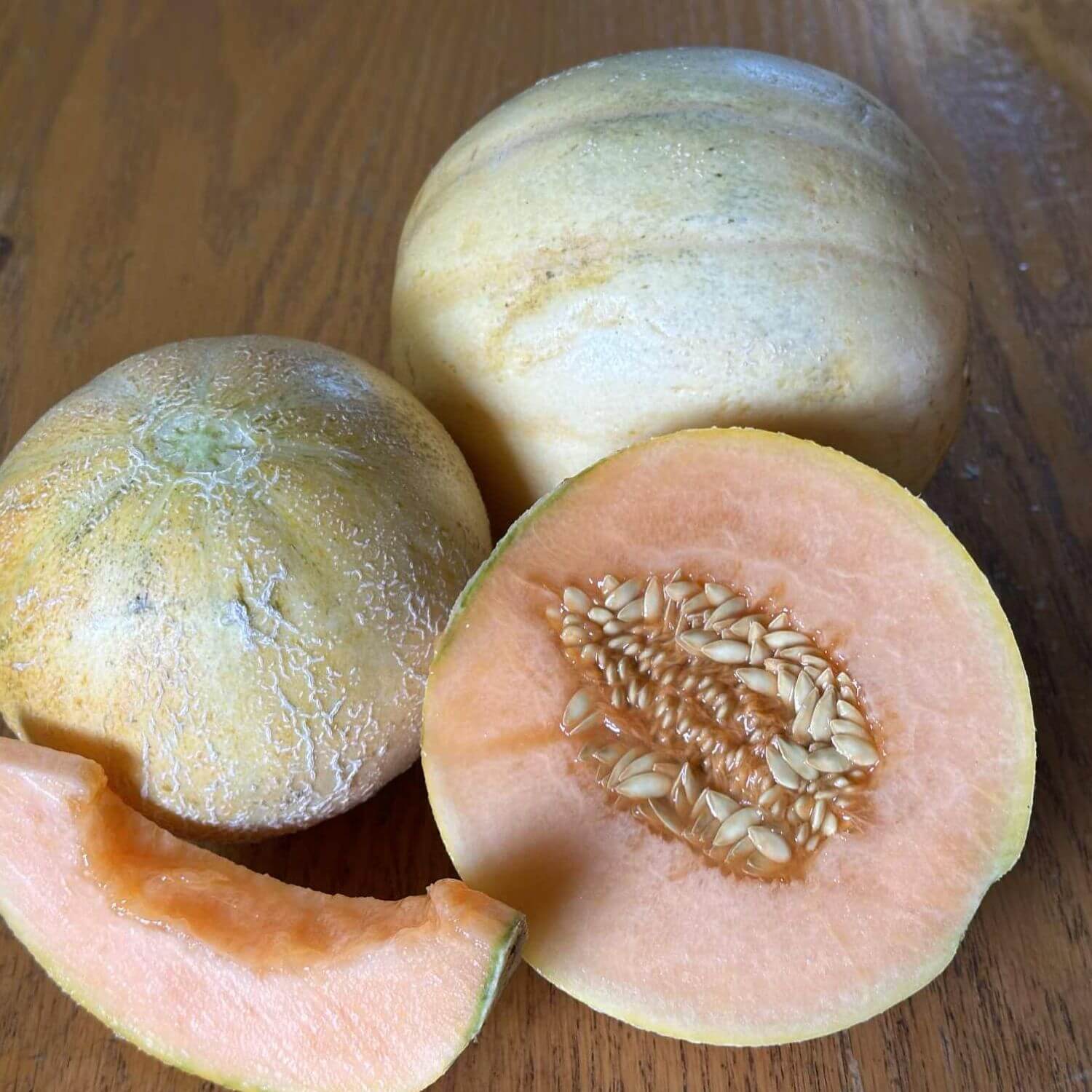 Sherri's French Melon: The story of local seed steward
