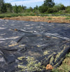 No Till Gardening? Here's how!