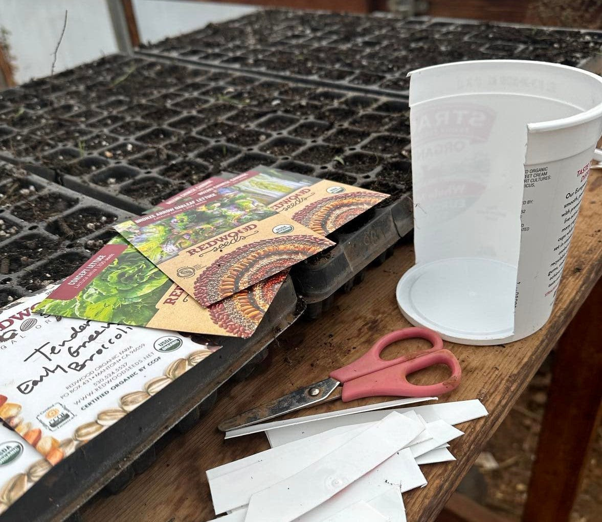 What to Plant and When!