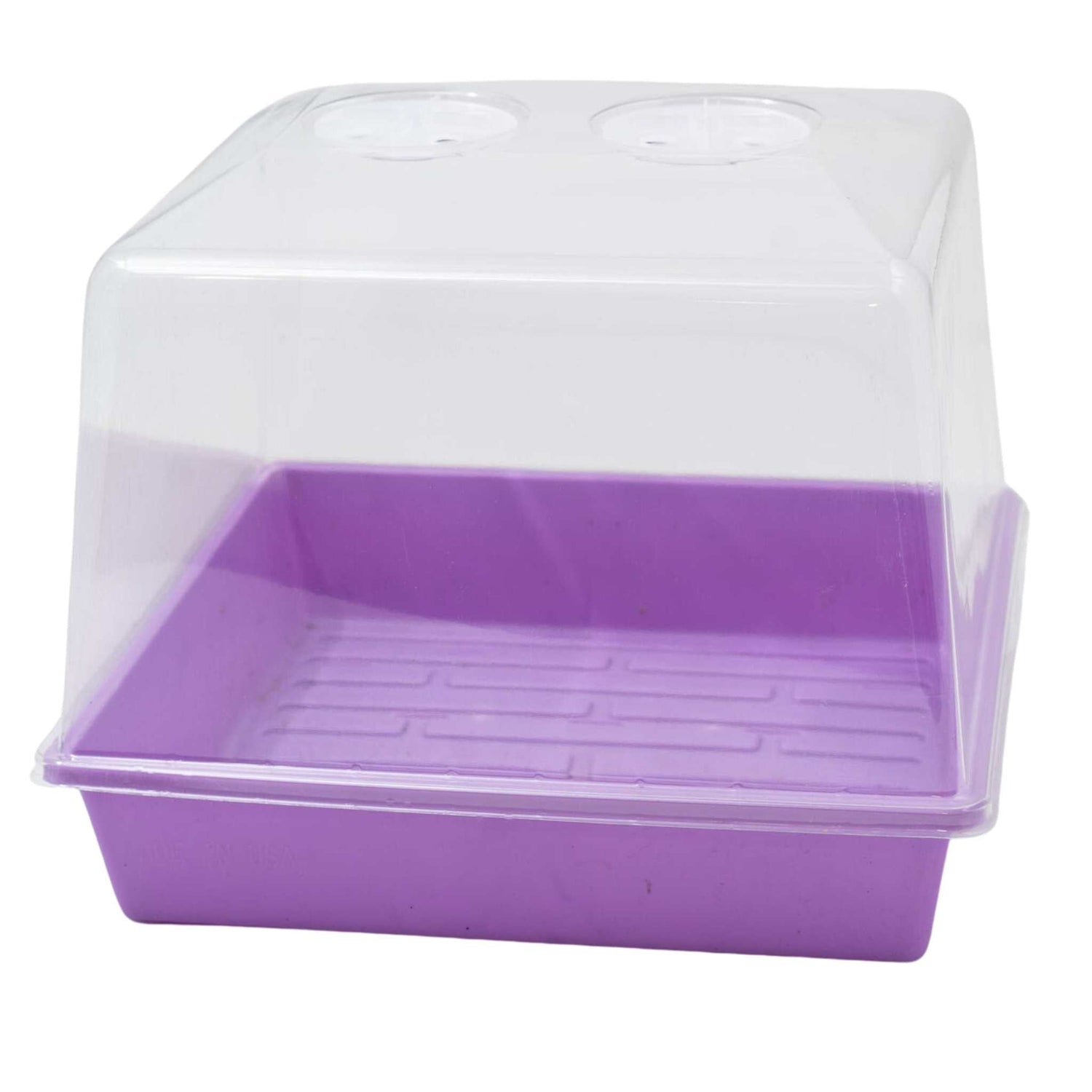 Purple plastic tray with a moisture lid on a white background 
