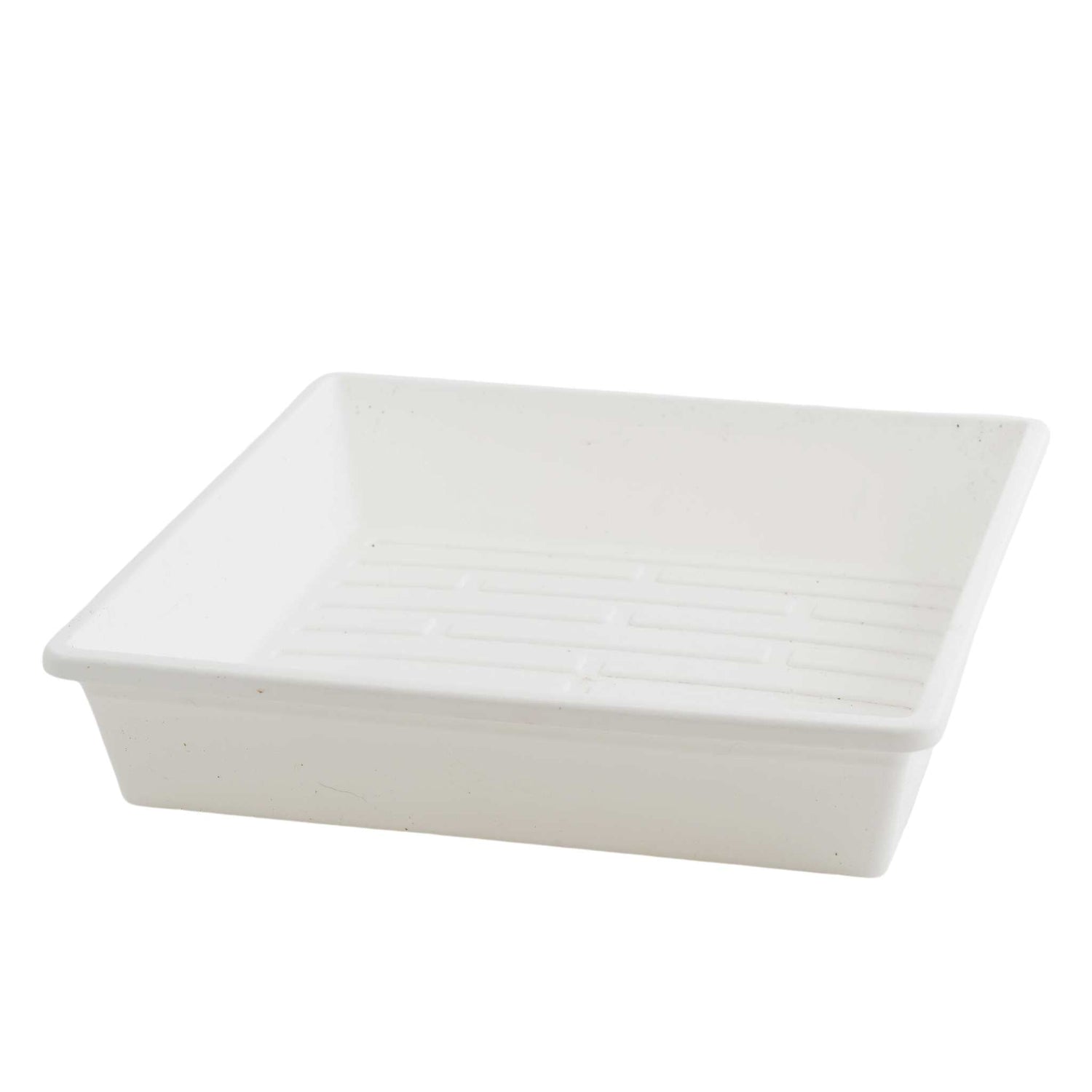 White plastic seed tray on a white background 