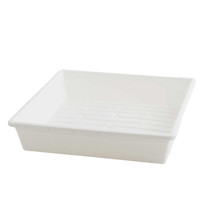 White plastic seed tray on a white background 