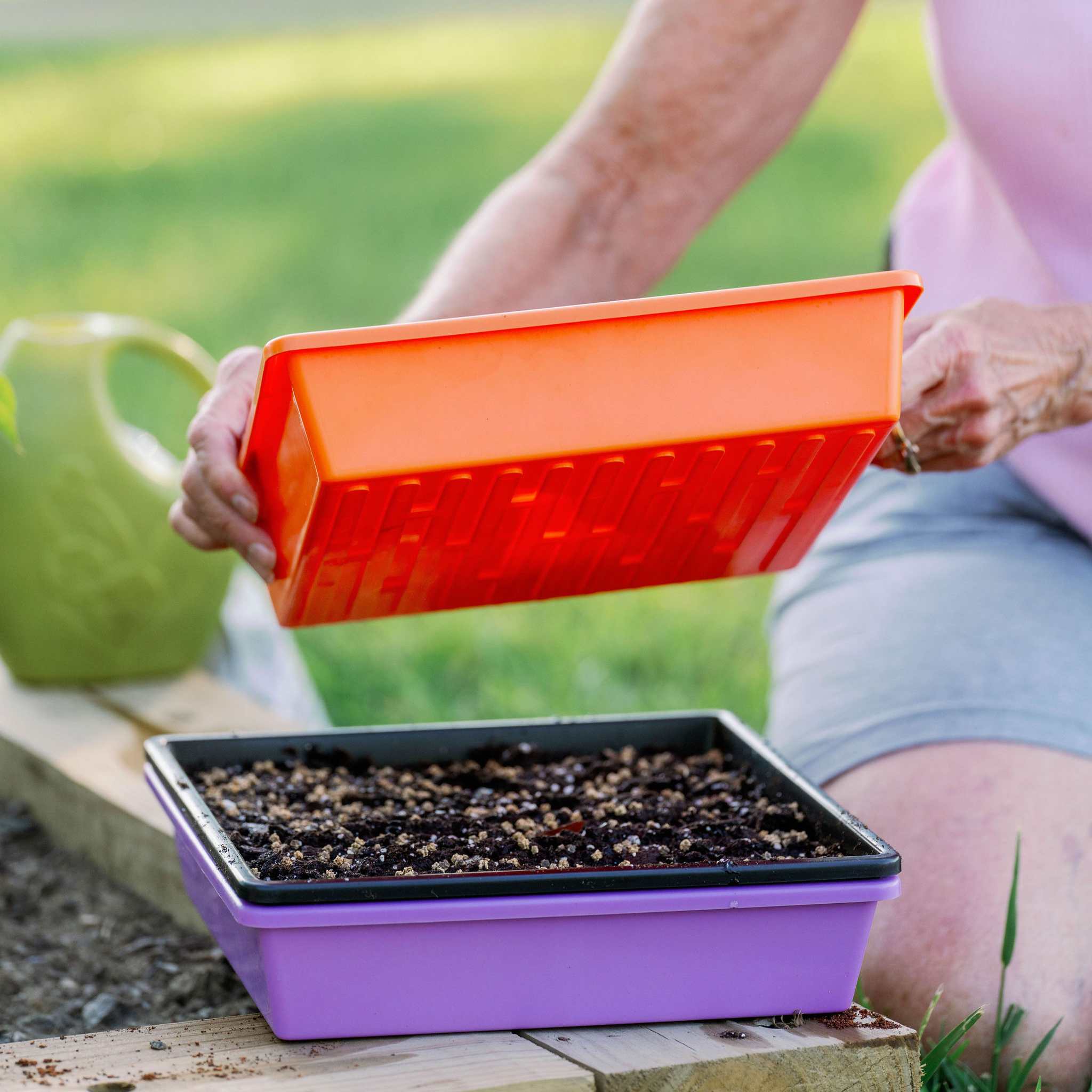 Person holding an orange seedling tray over a purple seedling tray filled with soil outdoors. 