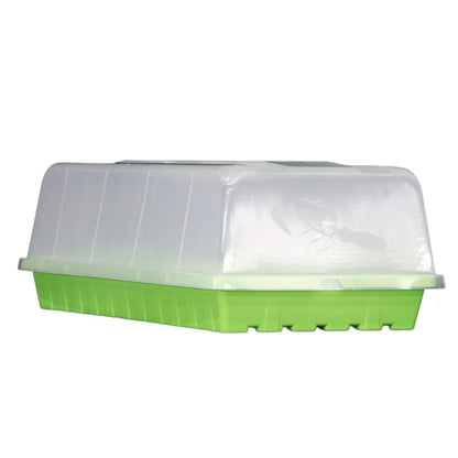 Green plastic tray with a humidity dome on a white background
