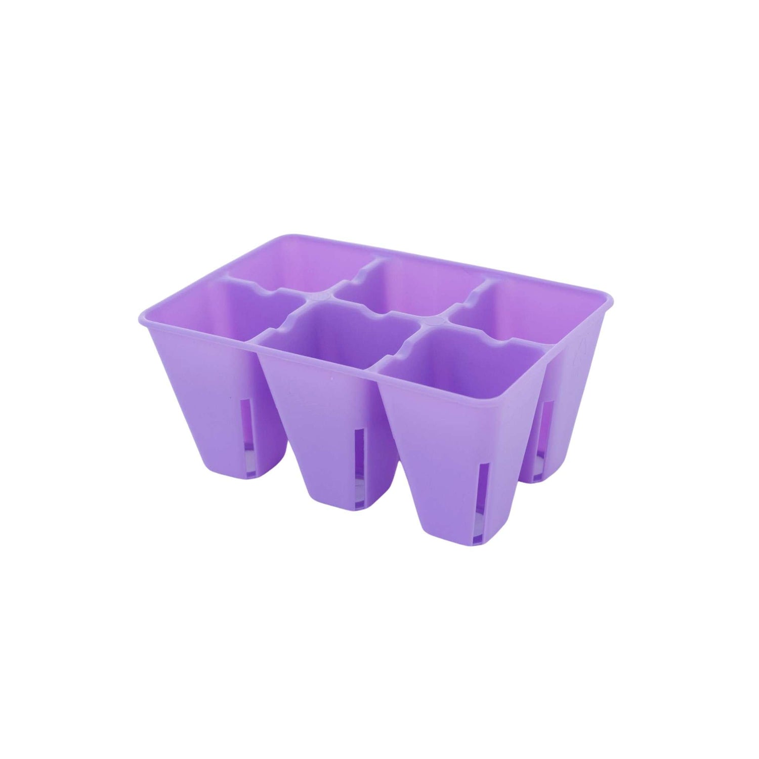 Purple seed tray on a white background 