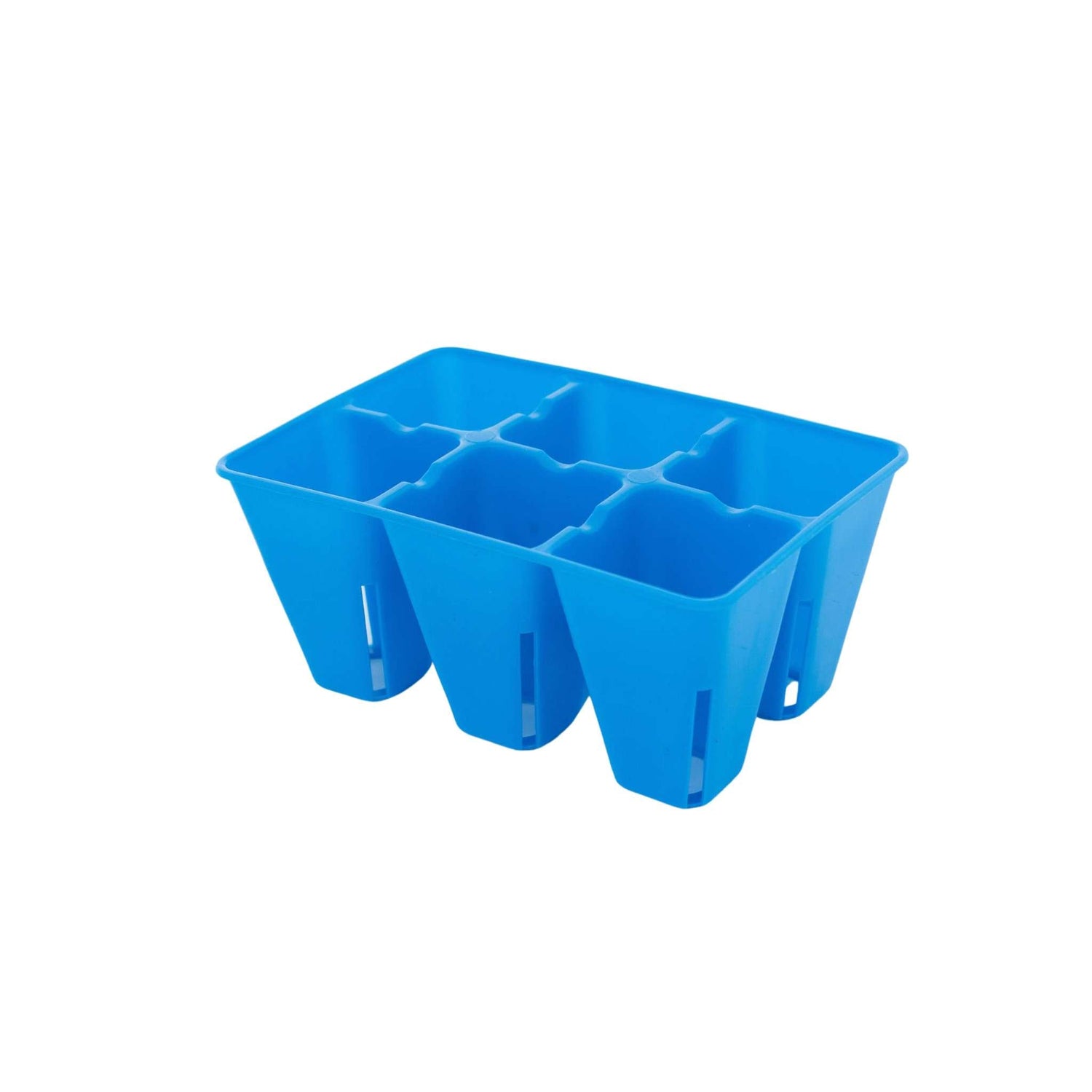 Blue plastic seed tray on a white background 