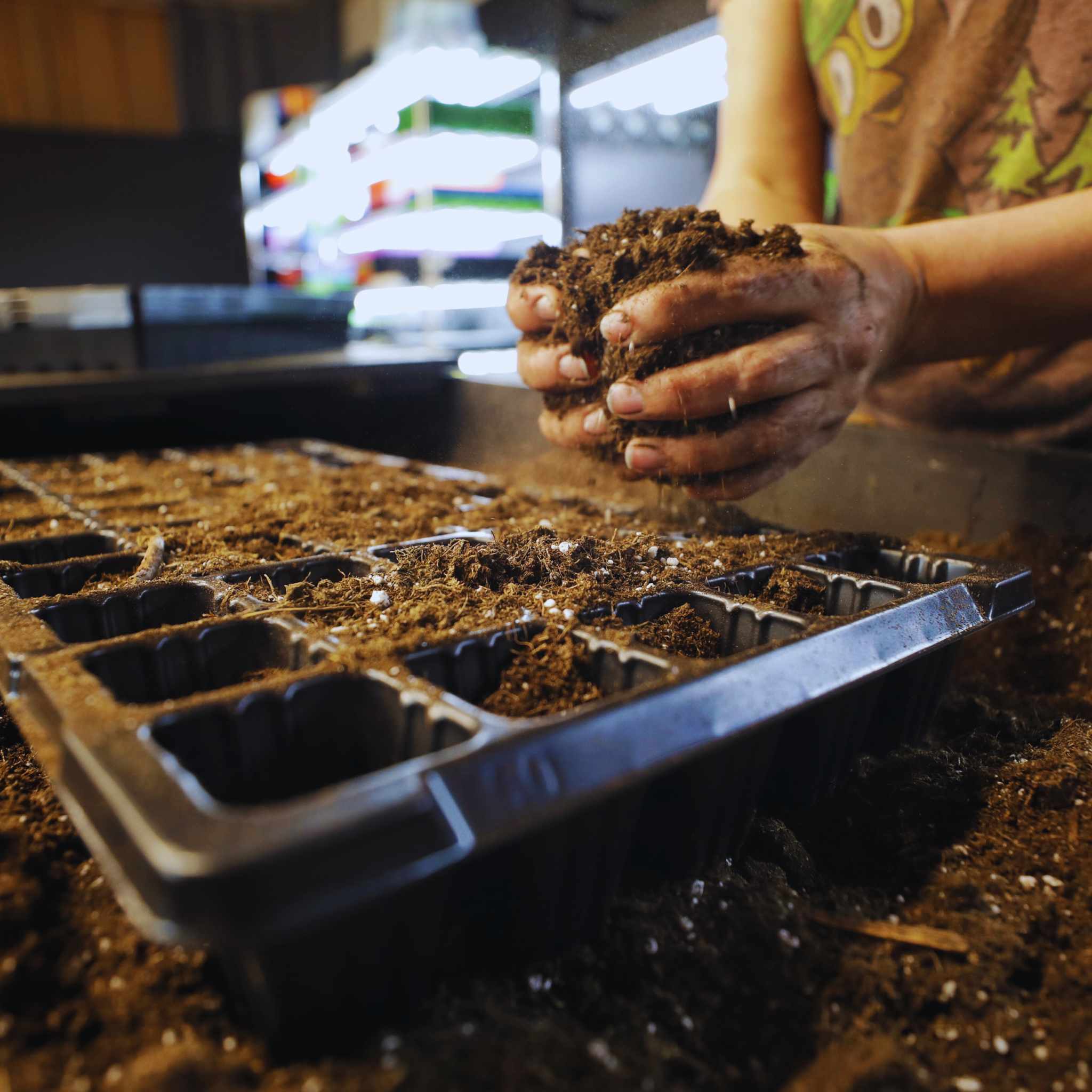 Garden Supplies – Redwood Seeds