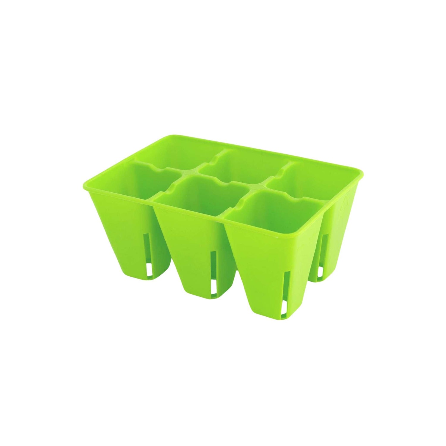 Green seed tray on a white background 