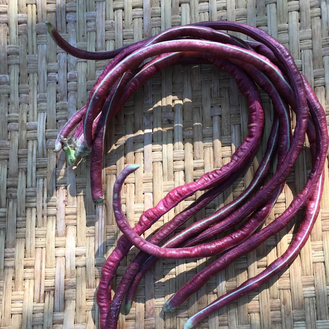 Chinese red noodle beans on a woven mat