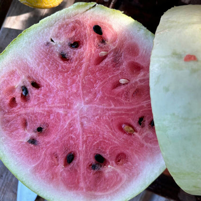 Close-up of a halved watermelon with pink flesh and green rind.