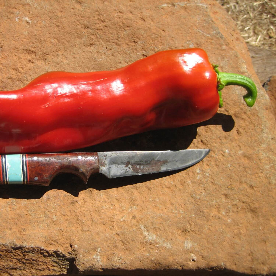 Red Corno d&