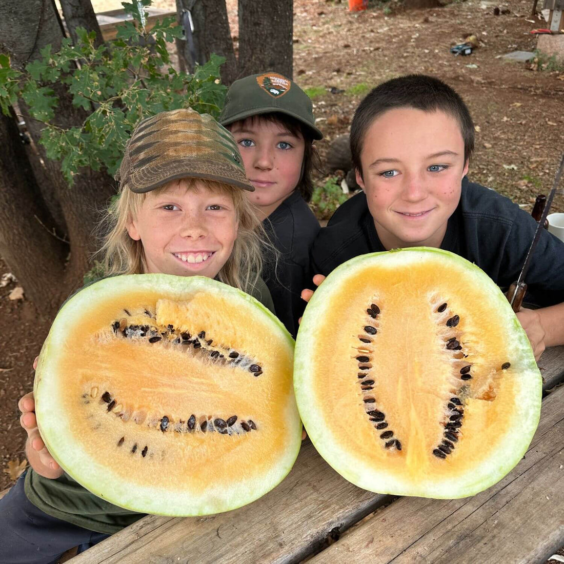 Three children holding a halved watermelon outdoors.