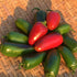 Red and green early Jalepeno hot peppers on a woven surface