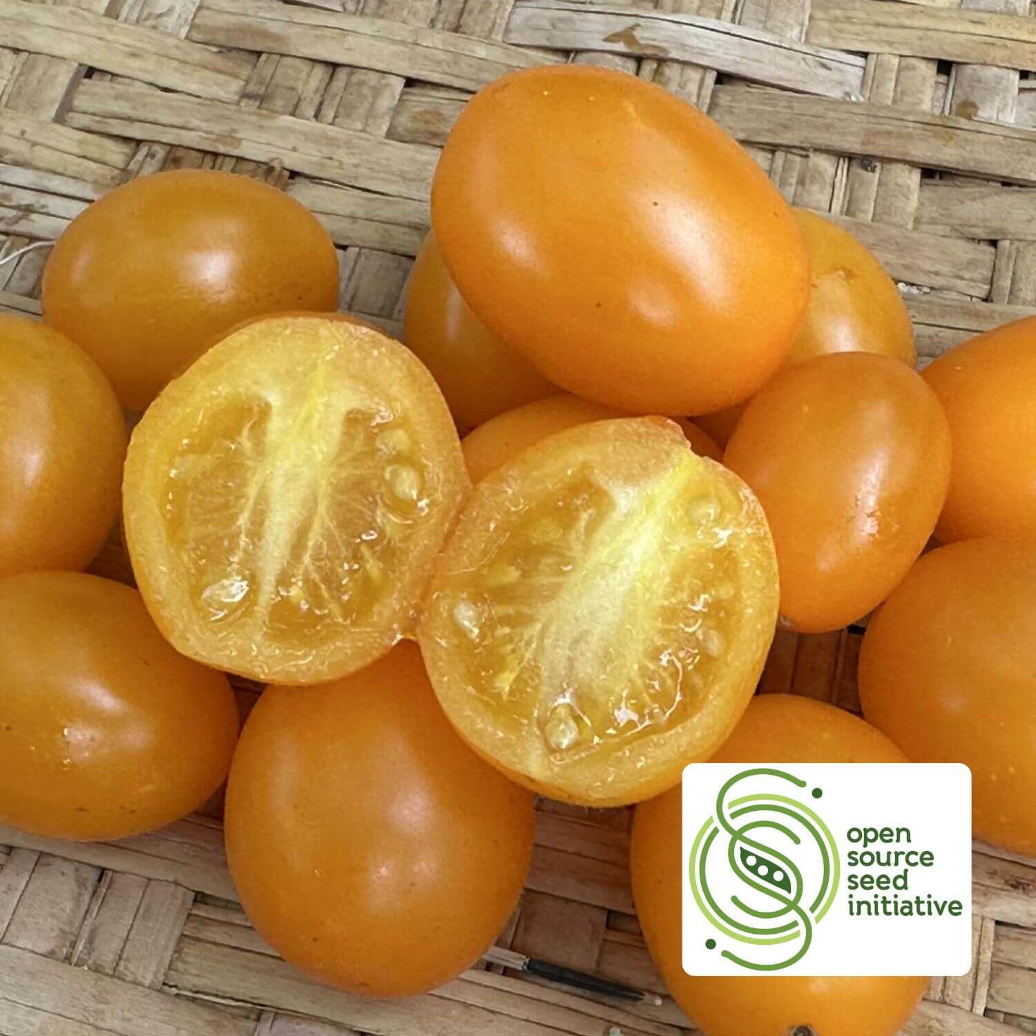 tomatoes – Redwood Seeds