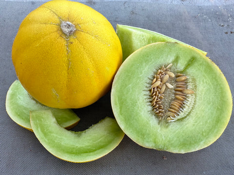 Boule d' Or Melon