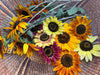 Redwood Seeds $25 Gift Card