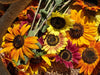 red, yellow and orange sunflowers
