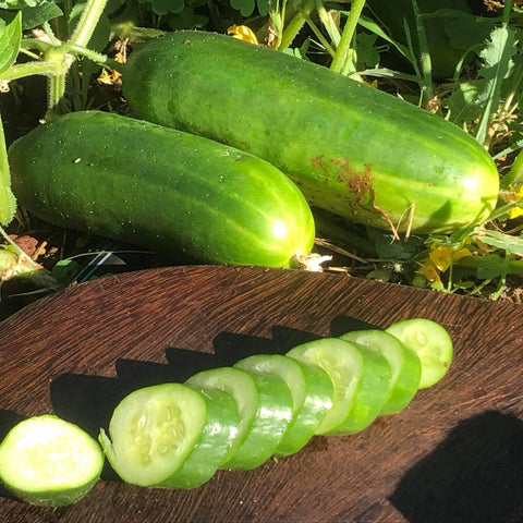 Whole and sliced Mid-East peace cucumbers on a wooden surface with a garden background