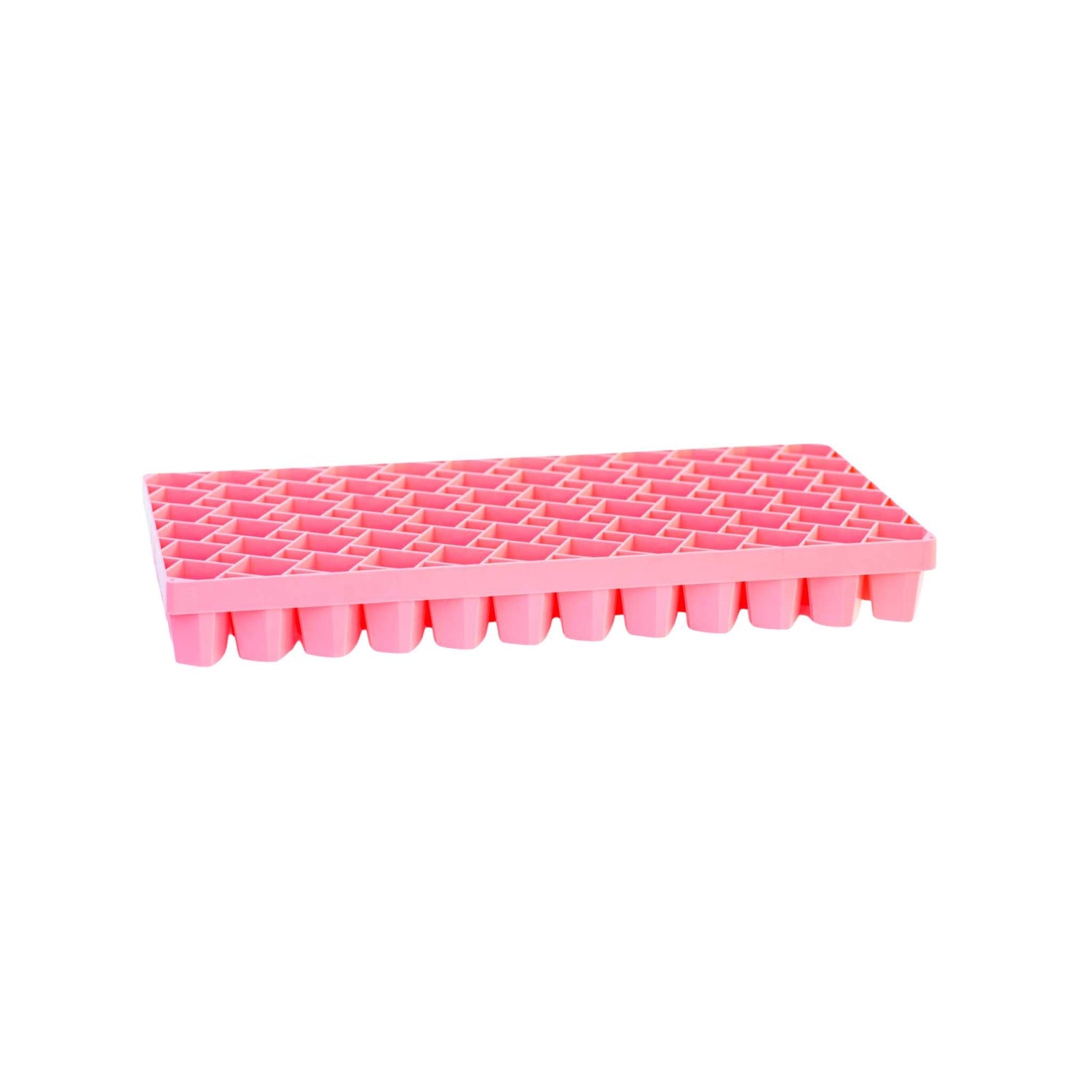 Pink propagation tray on a white background 