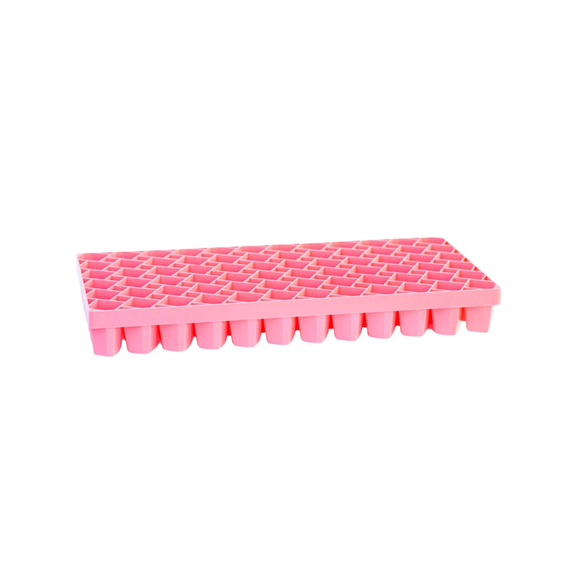 Pink propagation tray on a white background 