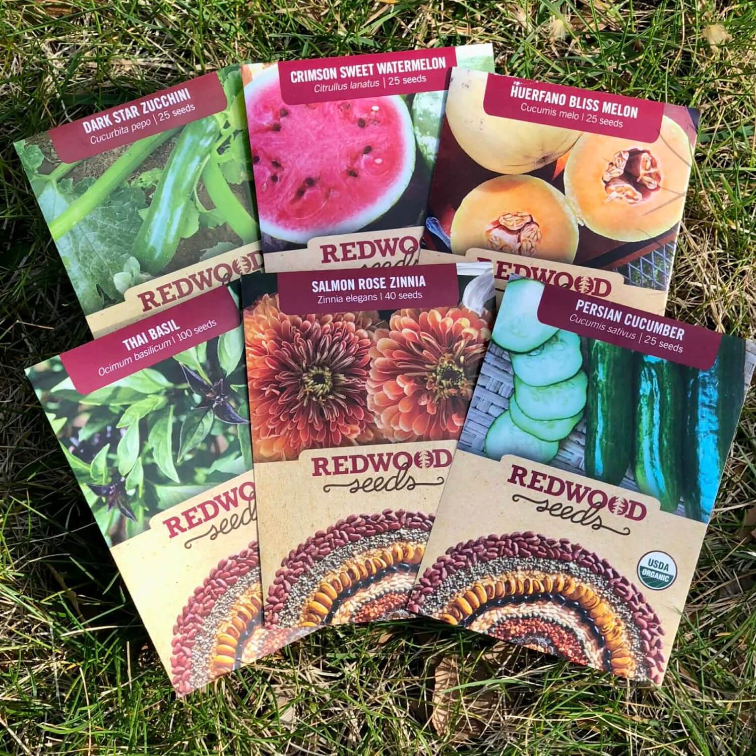 plant seed box Seasonal Seed Box