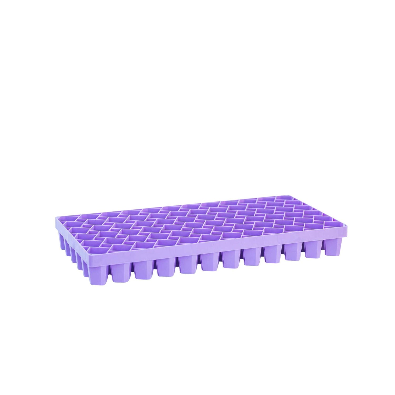 Purple plastic propagation tray on a white background 