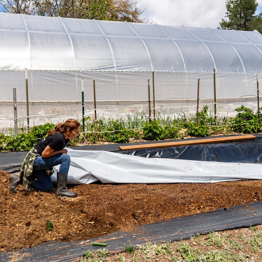 Silage Tarp - 6 mil Reversible Black &amp; White