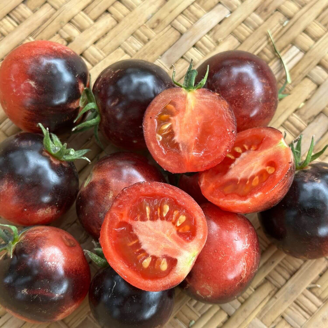 Vermillion Eclipse Tomato