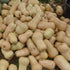 Pile of light-colored Waltham butternut squash on a natural background