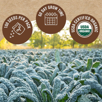 Black Magic Kale