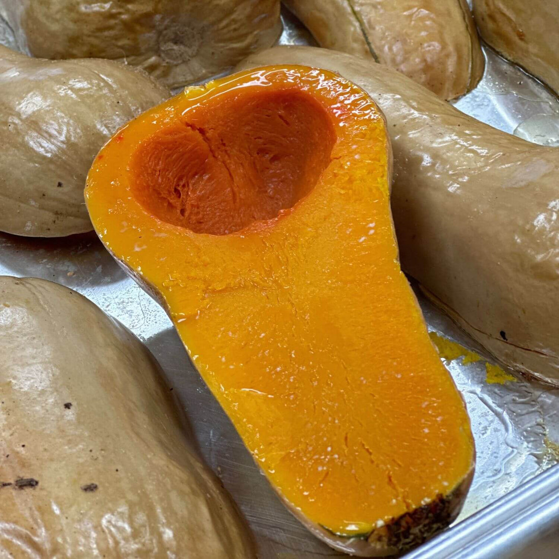 Waltham Butternut Squash