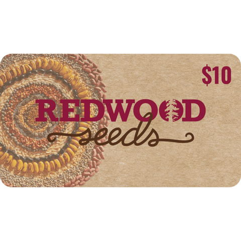 Redwood Seeds $10 gift card with a textured design