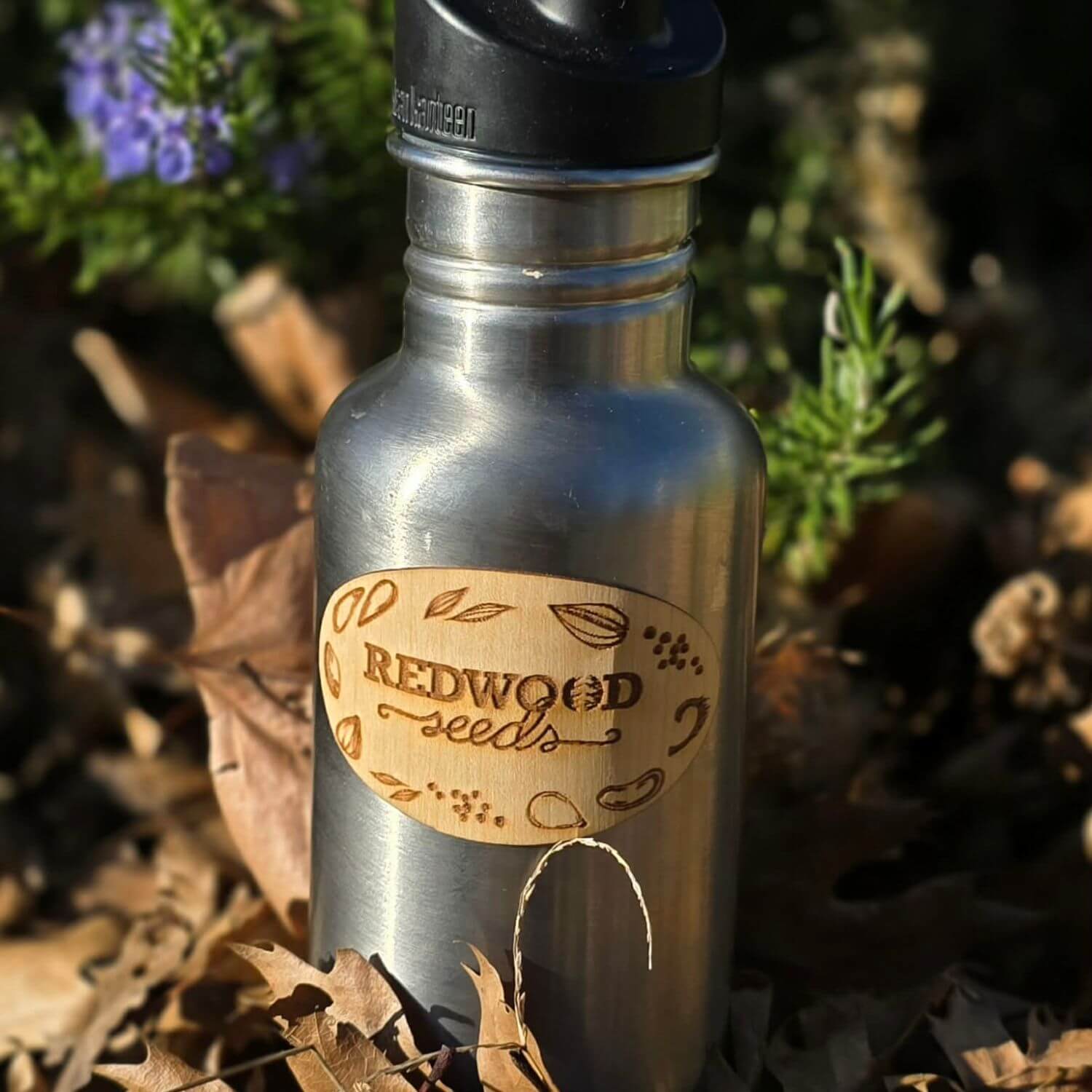 Redwood Seeds Stickers