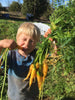 Yellowstone Carrot