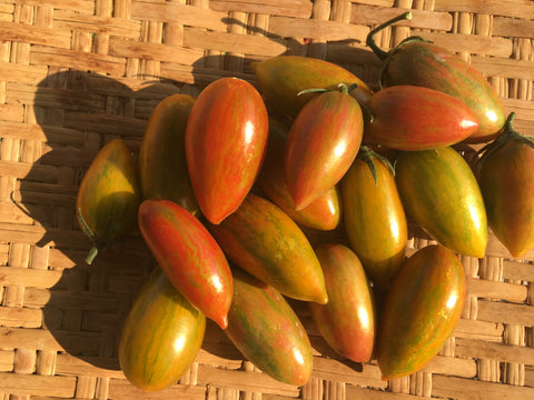 Lucky Tiger Tomato
