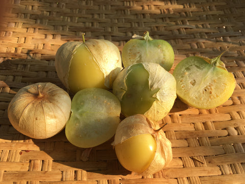 Tomatillo Verde