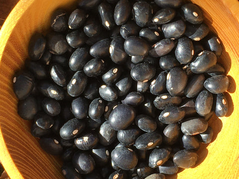 Black Coco Bean