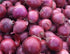 Rosa Di Milano Onion