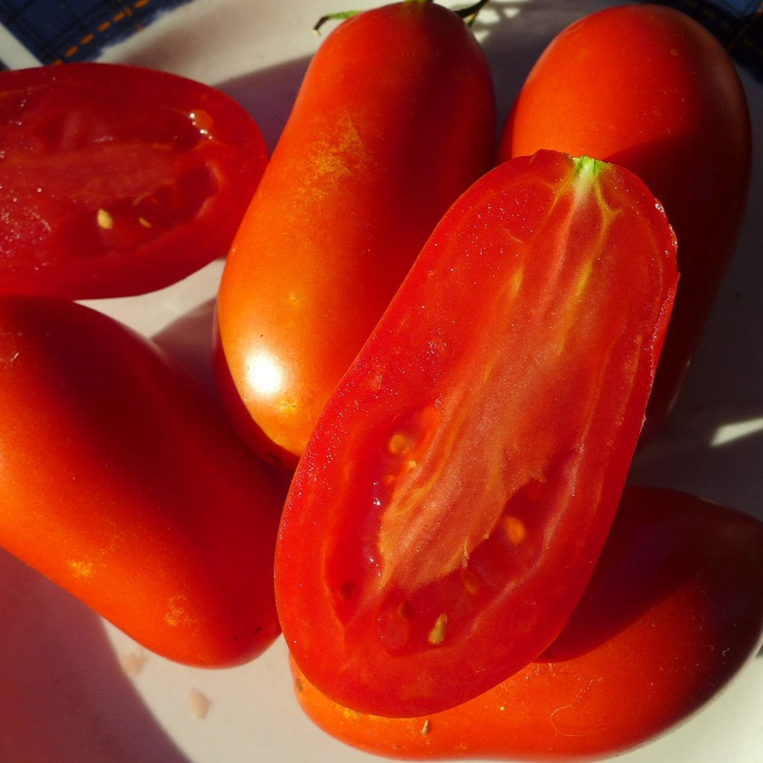 A few sliced tomatoes on a plate, with a focus on the vibrant red color and juicy texture.