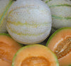 Mountain Honey Melon