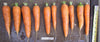Nantes Coreless Carrot