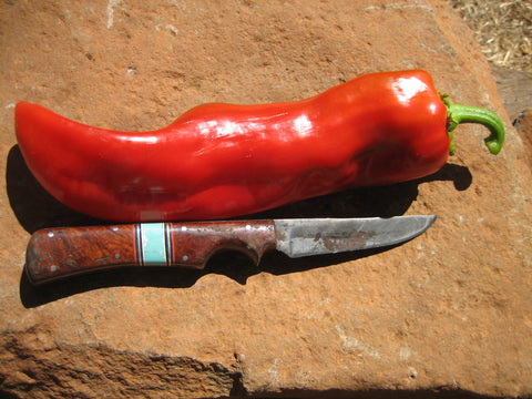 Corno D' Toro Sweet Pepper